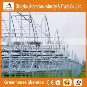 Heracles Trade Assurance Low Cost Greenhouse for Agriculture thumbnail-2