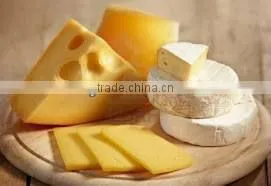 Non Dairy Creamer for Cheese thumbnail-1