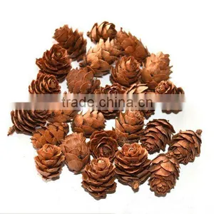 Decorative Natural Pine Cones thumbnail-1