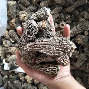Factory Price Premium Quality Chinese Wild Dried Morel Mushroom/Morchella Esculenta Without Fully Stem (4-6CM) thumbnail-1