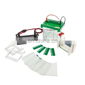 Vertical Mini Protean Gel Electrophoresis Apparatus Cell thumbnail-1