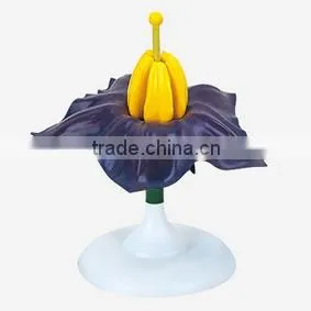 Potato Fower Model thumbnail-1