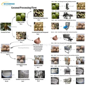 Profissional Coconut Processing Machine thumbnail-1