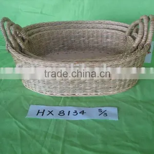 GRASS PRODUCT thumbnail-1