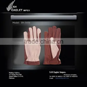 Horse Riding Gloves thumbnail-1