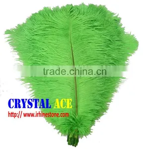 Wholesale Colourful Dyed Ostric Feather, Feather Ostric Plumes for Carnival Costumes thumbnail-1