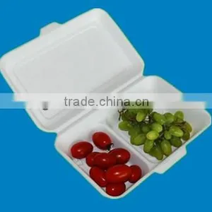 100% Biodegradable Bento Box Made by Sugarcane thumbnail-1