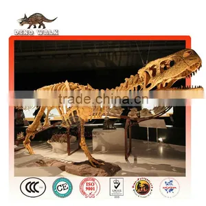 Life Size Dinosaur Skeleton Replicates thumbnail-1