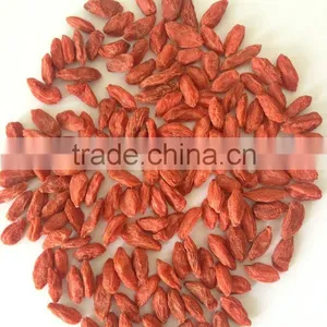 Goji Berry Company thumbnail-1