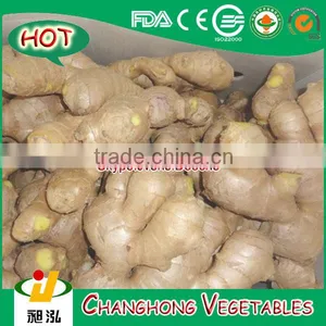300g Air Dried Ginger With 12kg/pvc Box for UK Market thumbnail-1