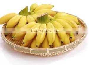 Fried Crispy 3D Snack Pellet Plantain Chip Processing Machinery Line thumbnail-1