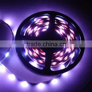 CE&ROHS Certification NONwaterproof 3528 SMD Flexible Led Strip Lighting thumbnail-6