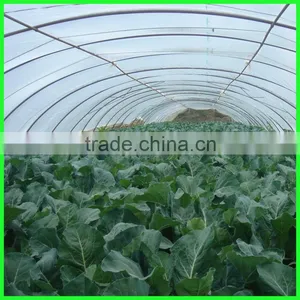 5 Years Use Time Woven Greenhouse Cover,plastic Film for Agricultural thumbnail-4