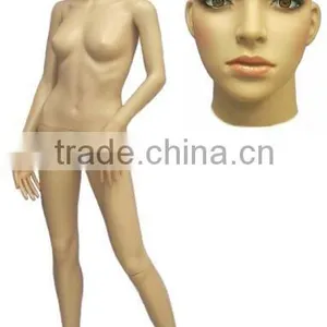 Mannequins and Manikin Special Extrusion Blow Molding Machine in Taizhou From YF-75G thumbnail-3