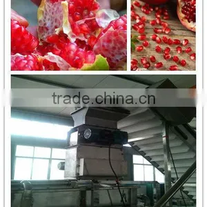 Pomegranate Arils Processing Machine thumbnail-1
