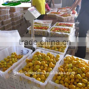 Fresh Baby Mandarin thumbnail-1