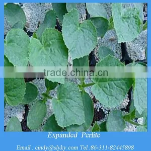 Horticultural And Agriculture Perlite Supplier thumbnail-3