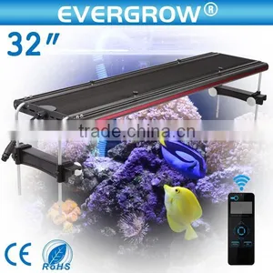 48'' Marine Aquarium Led Lighting China Sunrise and Sunset thumbnail-6
