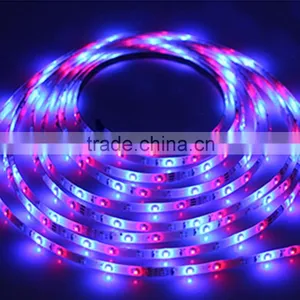 Rgbw Led Strip Rgb Led Trip Light thumbnail-5