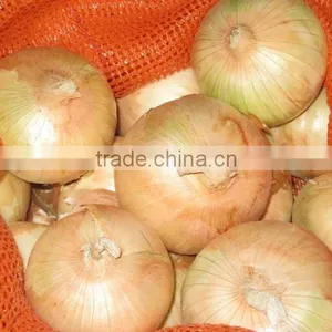 Onion thumbnail-4