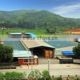 Jianyang Longsheng Arts Co., Ltd. company overview - view 2 thumbnail