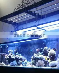 DSunY Wifi Intelligent Programmable Led Aquarium Lighting thumbnail-6