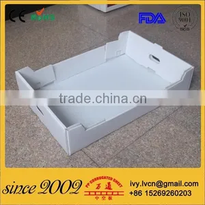 Corrugated Plastic Foldable Storage Box,Coroplast Box thumbnail-1