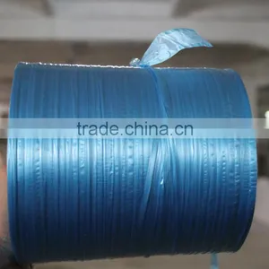 PE Finish Tie Tape/lashing Band for Packaging thumbnail-1