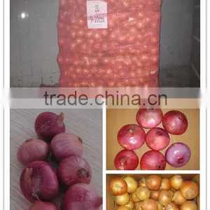 Fresh Onion Packing in Mesh Bag for Onion Importer From Dubai thumbnail-1
