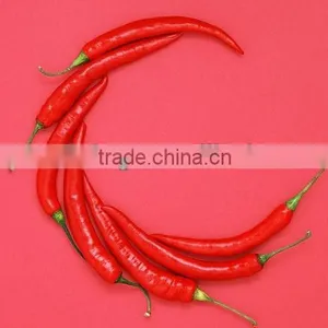 2012 Hot Red Chilli in Different Package thumbnail-1