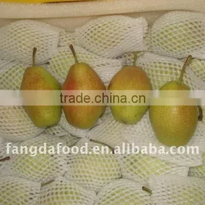 Selling Fragrant Pear thumbnail-1