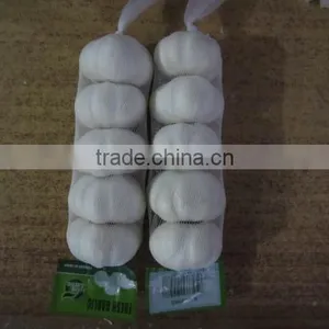 CHINA FRESH GARLIC thumbnail-1