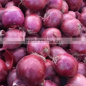 FX-128-3A Hot Sale Onion Peeling Processing Machine thumbnail-6
