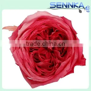2016 Wholesale Real Natural Preserved Roses Wedding Gifts for Guests thumbnail-4