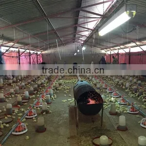 Industrial Chicken Shed/broiler Farm/poultry House Construction Design thumbnail-1