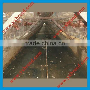 Manure Cleaning Equipment thumbnail-1