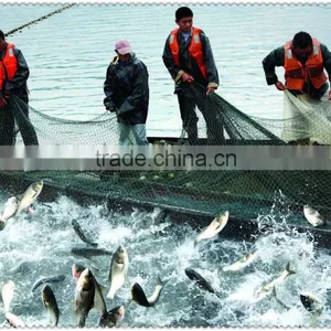 China Factory Anti Slip Used Commercial Gill Net Nylon Monofilament Knotted Fishing Nets for Fish Farming thumbnail-2