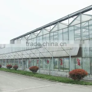 Large Used Commercial Glass Agricultural Greenhouses thumbnail-3