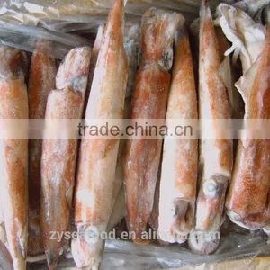 China Frozen Pacific Squid thumbnail-1