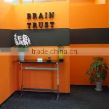 Brain Trust Co., Ltd. company overview - view 1 thumbnail