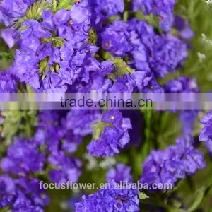 Flower Fresh Cut Flower Trusted Suppliers Purple Statice Popular Wholesale Festival Items thumbnail-6