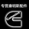 YZ Cummins Co.,Ltd company overview - view 1 thumbnail