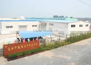 Huaian Teng Yu Towel Co., Ltd. company overview - view 3 thumbnail
