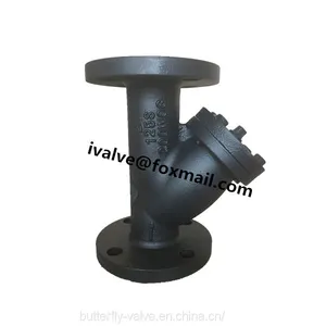 Cast Iron Y Type Strainer thumbnail-2