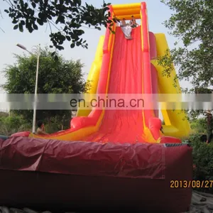 Cheap Commercial Best Quality Giant Inflatable Slide for Adults WS069 thumbnail-1