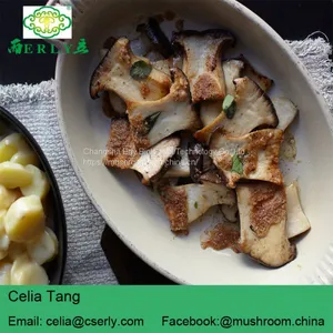 DRIED KING OYSTER MUSHROOM thumbnail-5