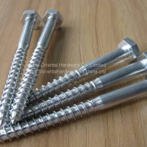 Coach Screw Manufacturer In China thumbnail-1