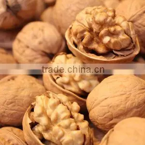 Walnuts in Shell thumbnail-1