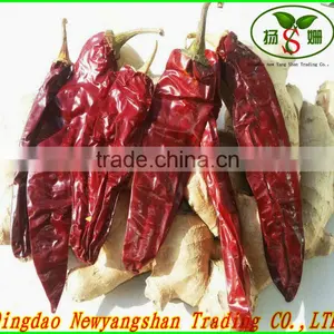 (HOT)small Hot Chili/hot Chilli Pepper/chaotian Chilli thumbnail-3