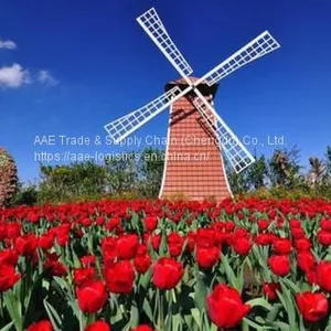 Air Freight - Shipping Direct From Shenzhen (SZX) to Amsterdam (AMS) , Holland. Transfer to European Countries thumbnail-1